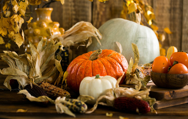 Fall-Themed Party Ideas with Yellow Bliss Co. Box Sets